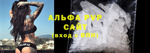 тгк Касимов