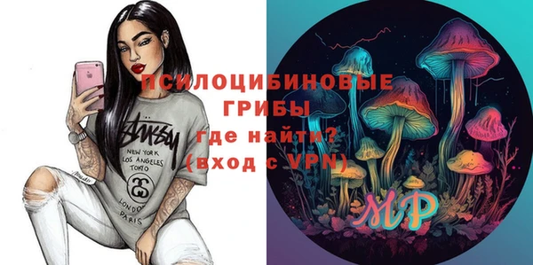 тгк Касимов